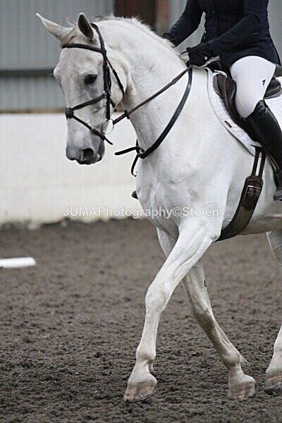 SIAL5744 - CAbin Dressage 5th july 2025