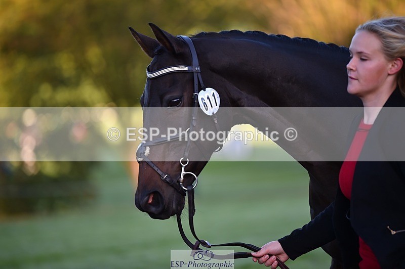 231022-084006-21285 - 611-PASTORAL.DANCER-Dana.Bateman-TrotUp+SJ