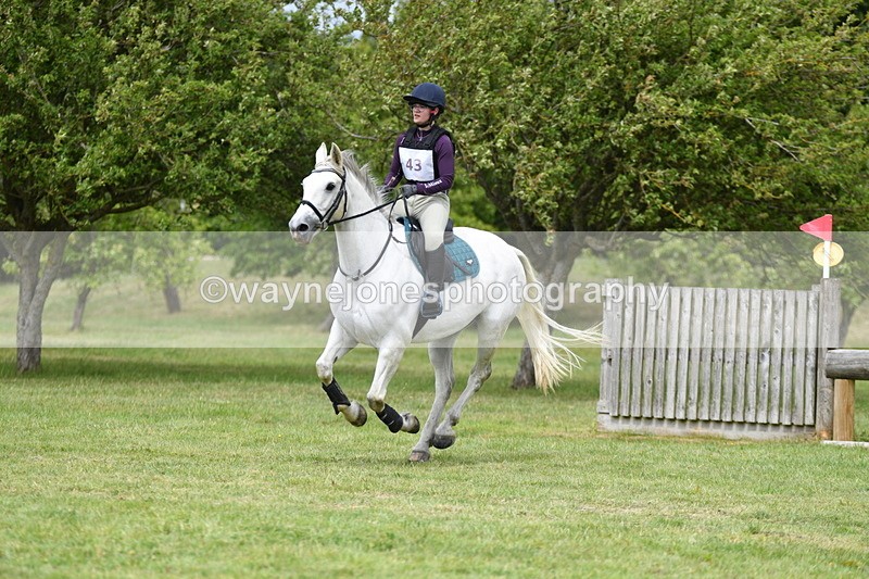 WJ5_3899 - Class 6 80cm