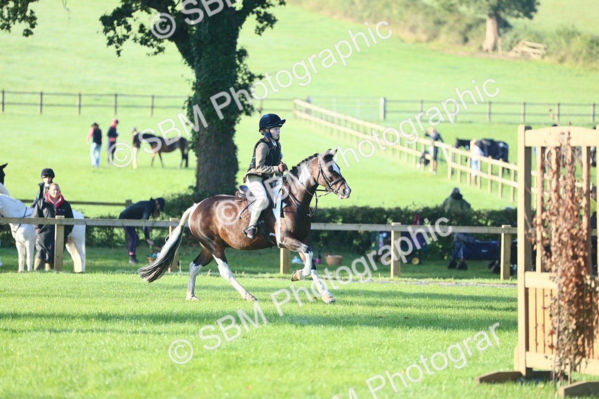 SBM_32238 - S28 - Nursery Stakes Working Hunter Pony