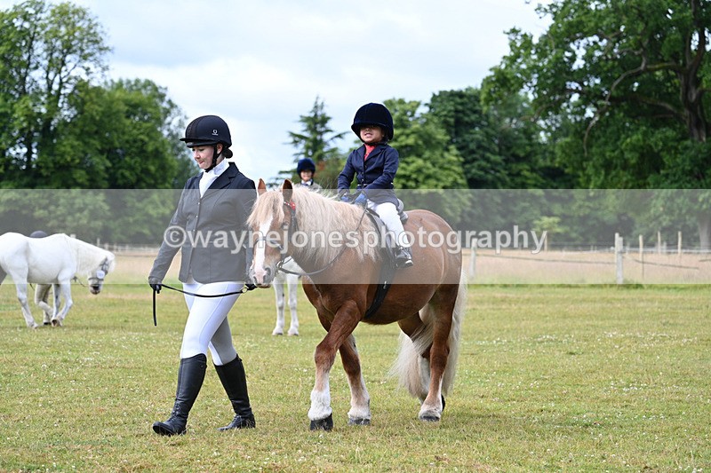WJ7_4698 - Class 1 Lead Rein Pony