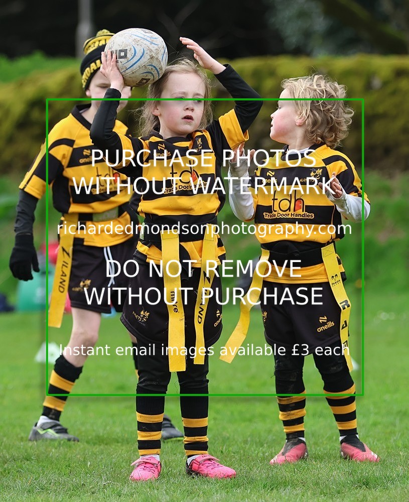 533A5270 - Kendal Rugby Under 7's (12/4/26)