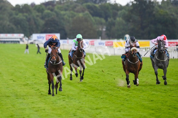 290723-Race 4-Blue Prince-0659 - Race 4 4.00pm 50K ITV7 Weekly Jackpot Nursery Handicap