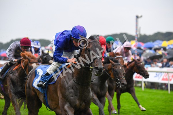 yr21082021r6-14 - Race 6 4.45pm Sky Bet Stakes
