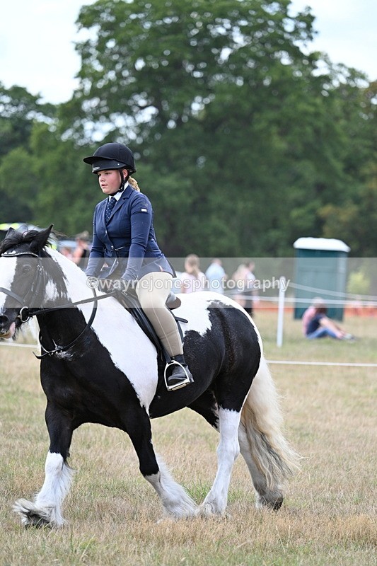 WJ7_5372 - Class 12 Ridden Cob