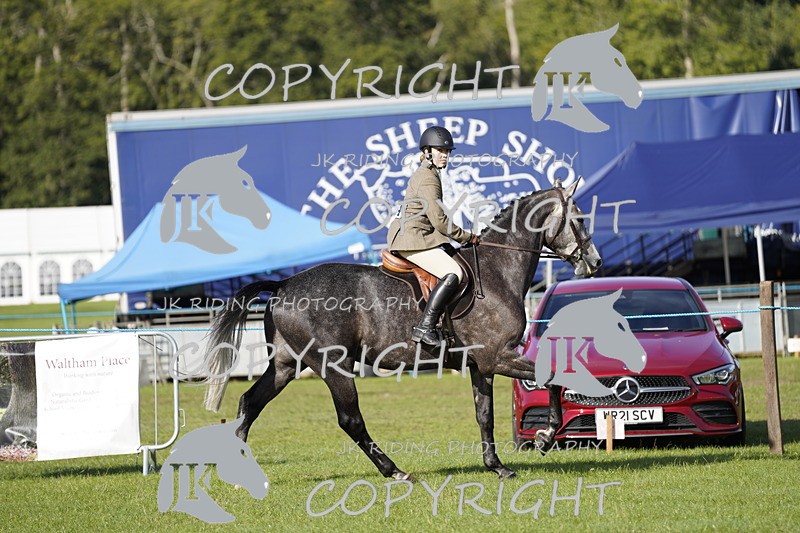 _DSC9608 - Class 8 & 17 Ridden Hunter & Ridden Hunter Pony