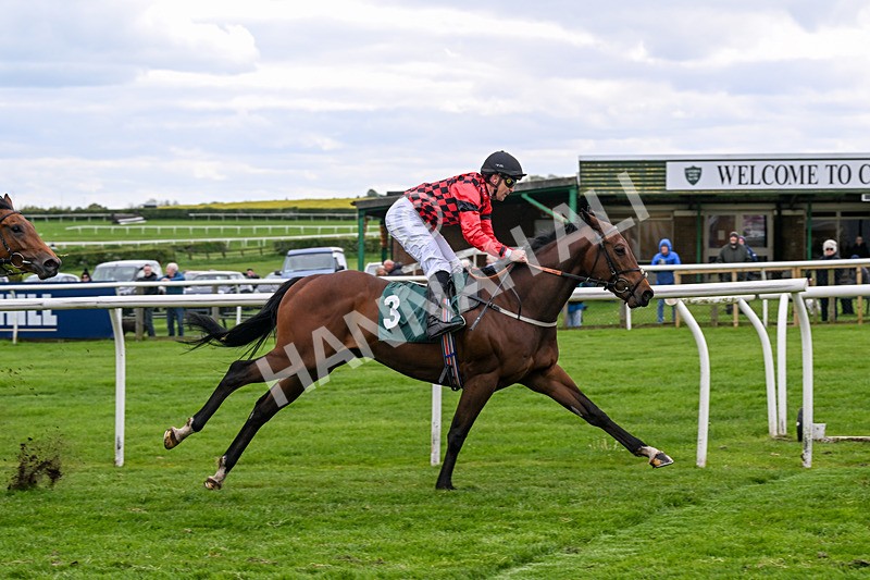110526-Race 2-Zarvali-0457 - Race 2 3.00pm Racing Welfare Supporting Mental Health Awareness Restricted Novice Stakes