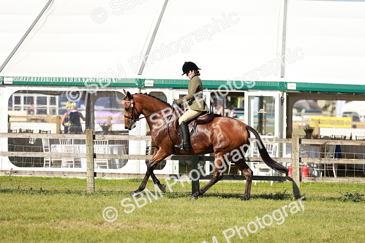SBM_19238 - Class 115-116 - LIHS BSHA Rising Star Working Hunter & Show Horse