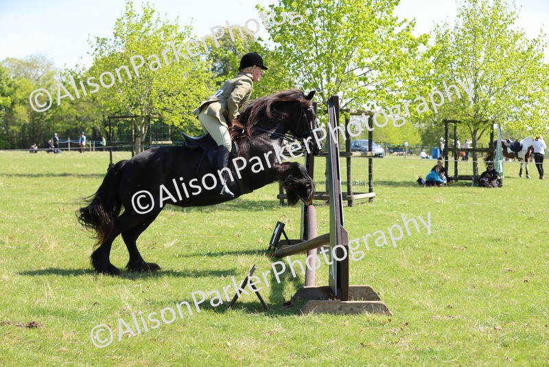 20250427-2440 - Class 19 - Mini Working Hunter