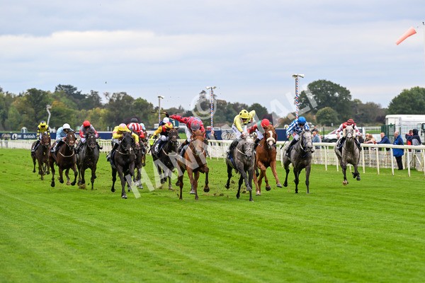 101025-Race 1-Ice Max-0028 - Race 1 William Hill Autumn Mile Handicap at York