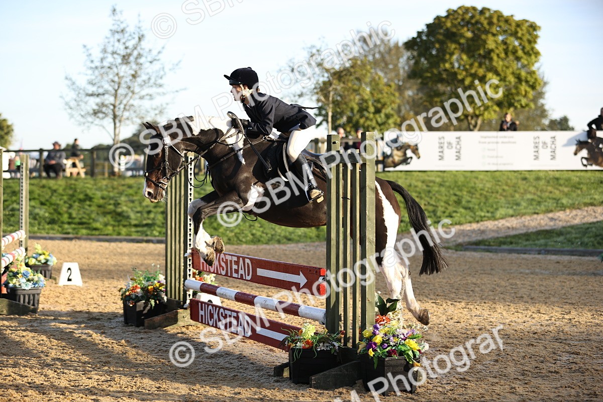 SBM_32949 - J38 - Senior 80cm Championship