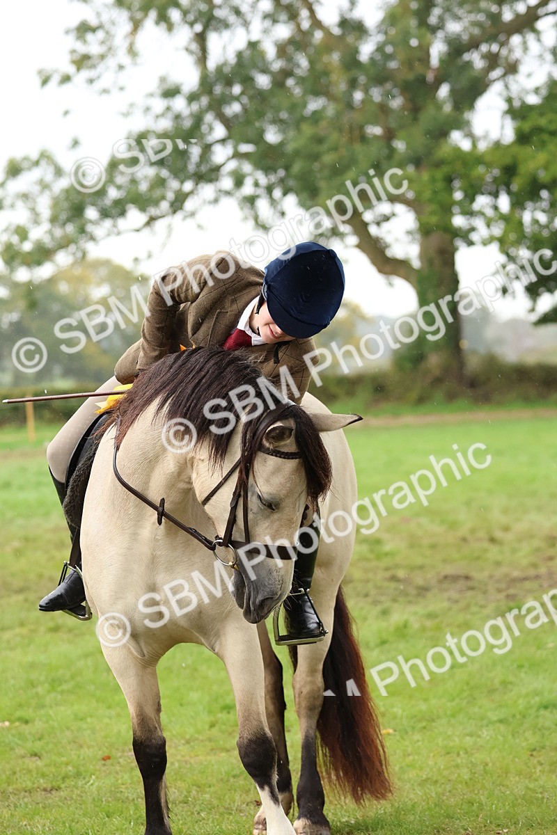 SBM_69756 - S62 - Mountain & Moorland Ridden Large Breeds