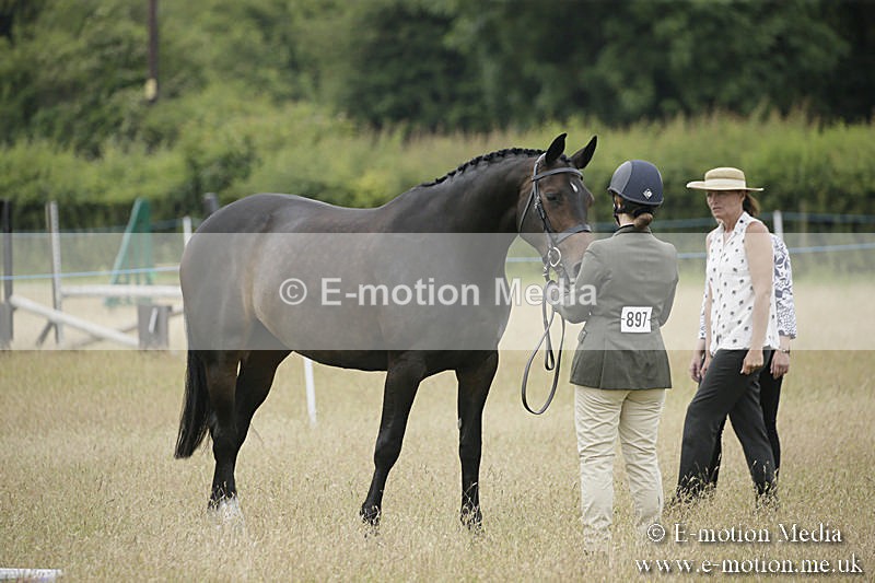 B230619-0300 - Bourne Valley Riding Club Summer Show 23/06/19
