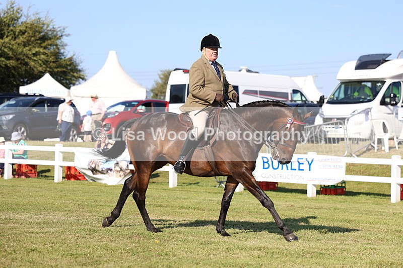 3E7A5331 - Class 2: Rising Star Large Hack/Riding Horse