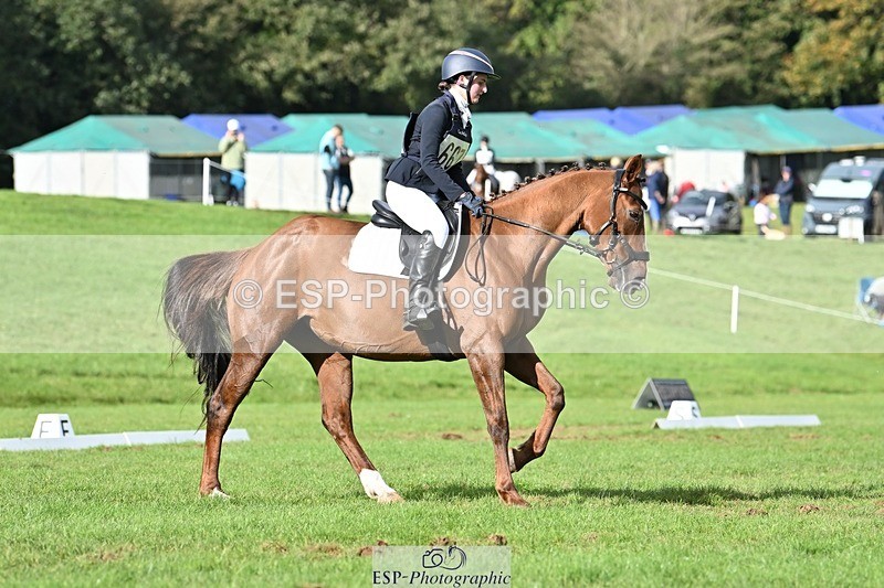 231020-143911-10946 - 667-BAILE.NA.CROISE-Emma.Pine-DR