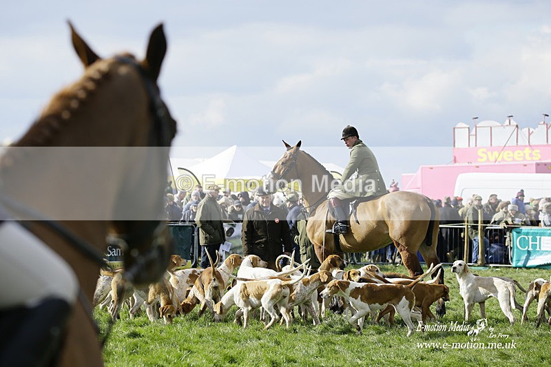 PtP 060322 303 - Blackmore & Sparkford Vale Hunt PtP 06/03/22