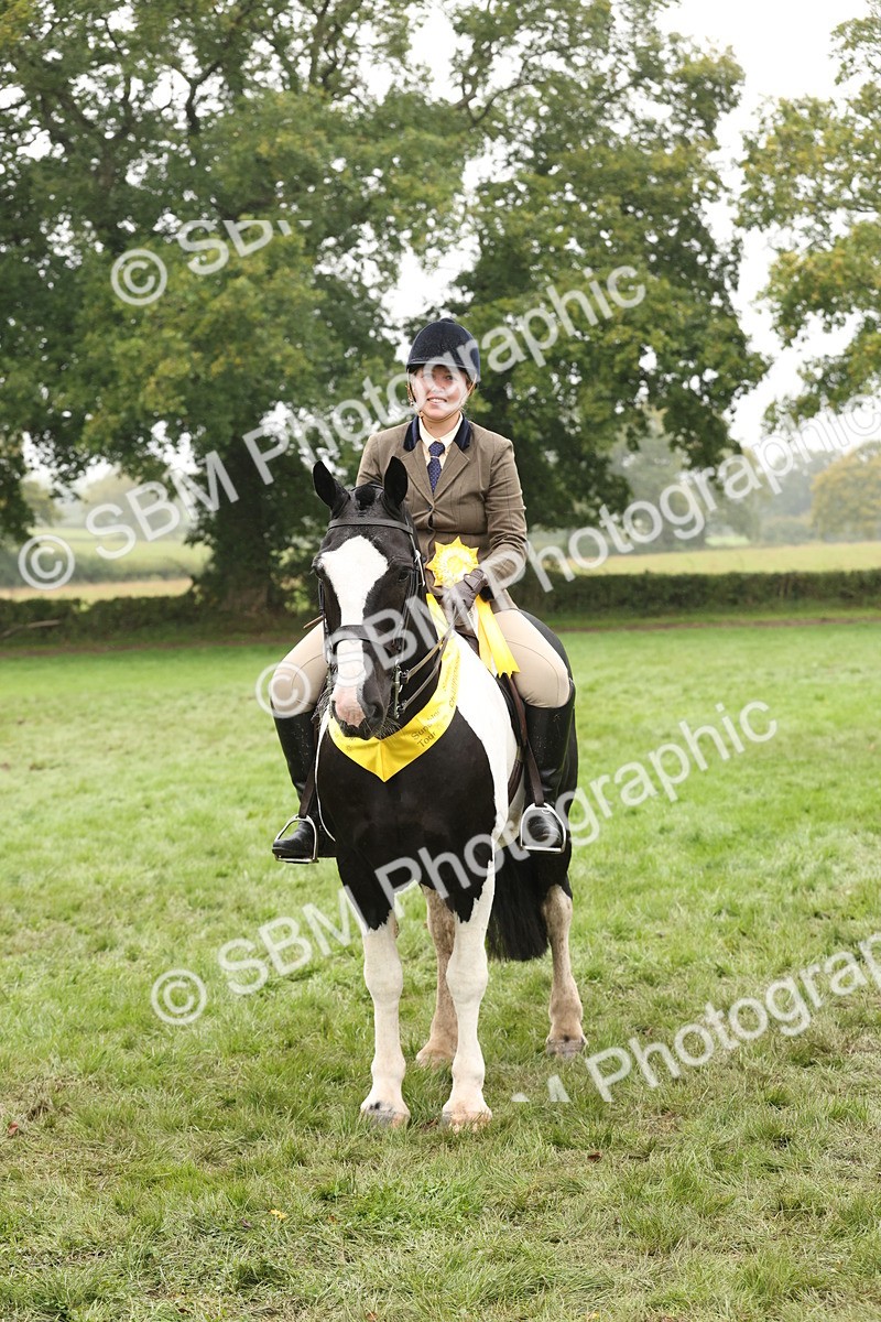 SBM_69871 - S69 - Show Cob Ridden