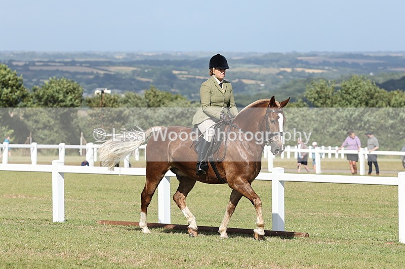 JPP_2845 - Class 20: Working Hunter 70cm