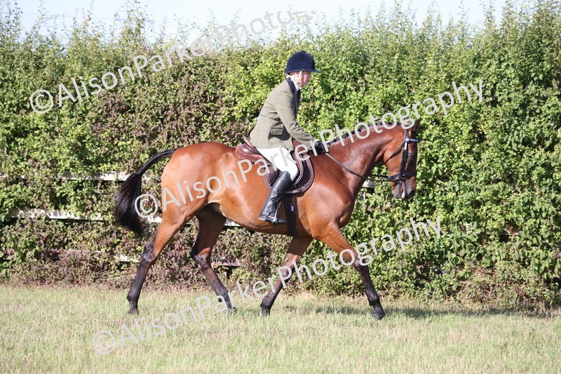 20260906-0384 - Class 14 - Ex Racehorse