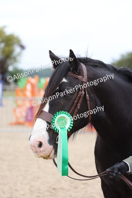 20250524-1059 - Class 9 - Cob and Hunter