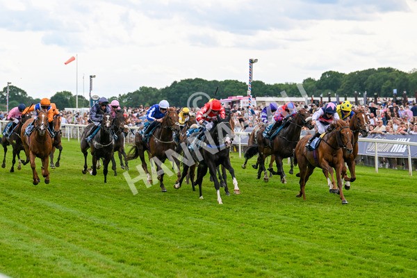 310525-Race 5-Frankies Dream-9850 - Race 5 3.50pm Reg Bond Always And Forever Handicap