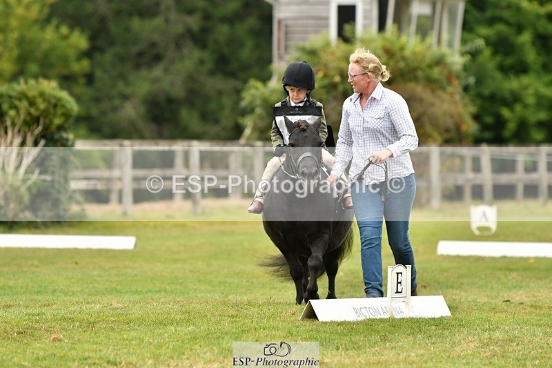 250820A-113336-05141 - 11am to 12