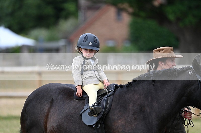 WJ7_9796 - Class 1 Lead Rein Pony