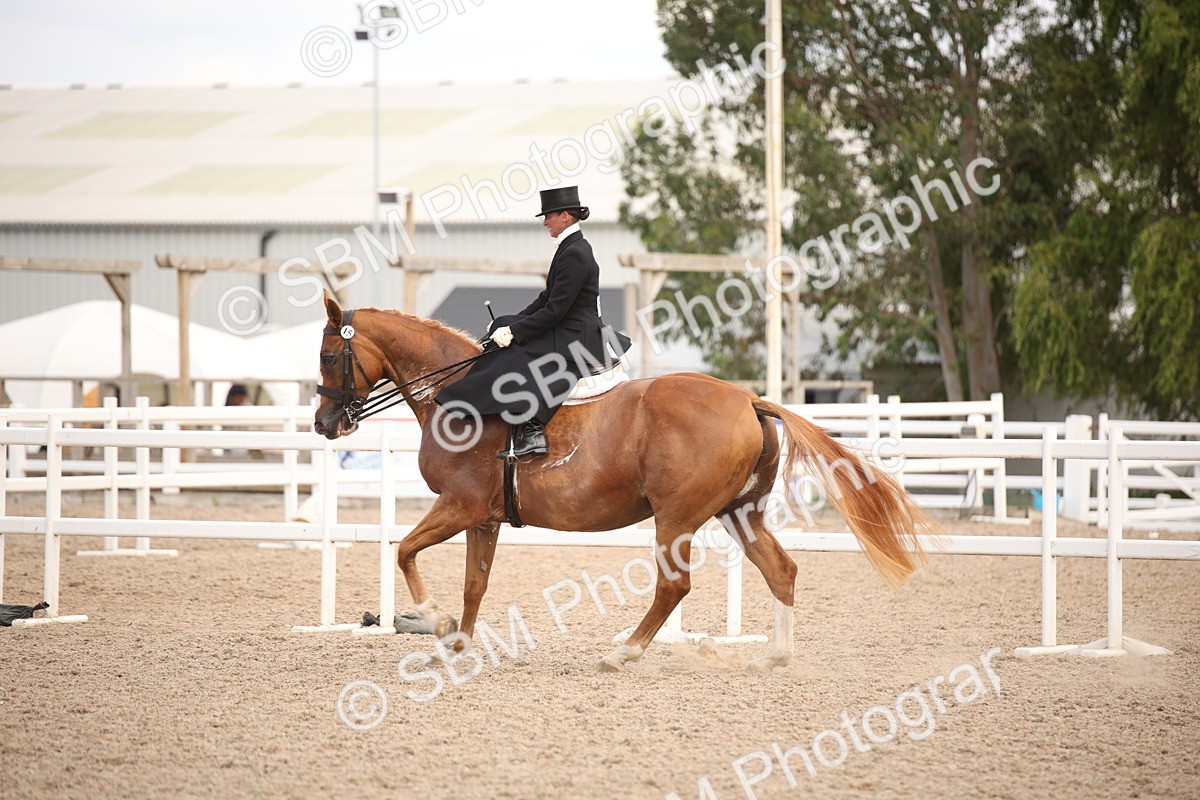 SBM_06662 - Class 23 SSA Classical