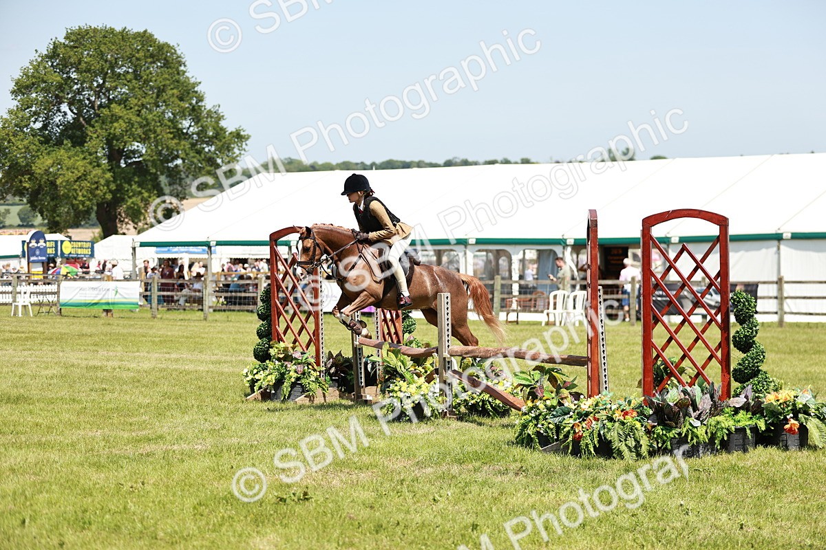 SBM_15638 - Class 108-109 - BSPS LIHS Open Gradle & Nursery Stakes