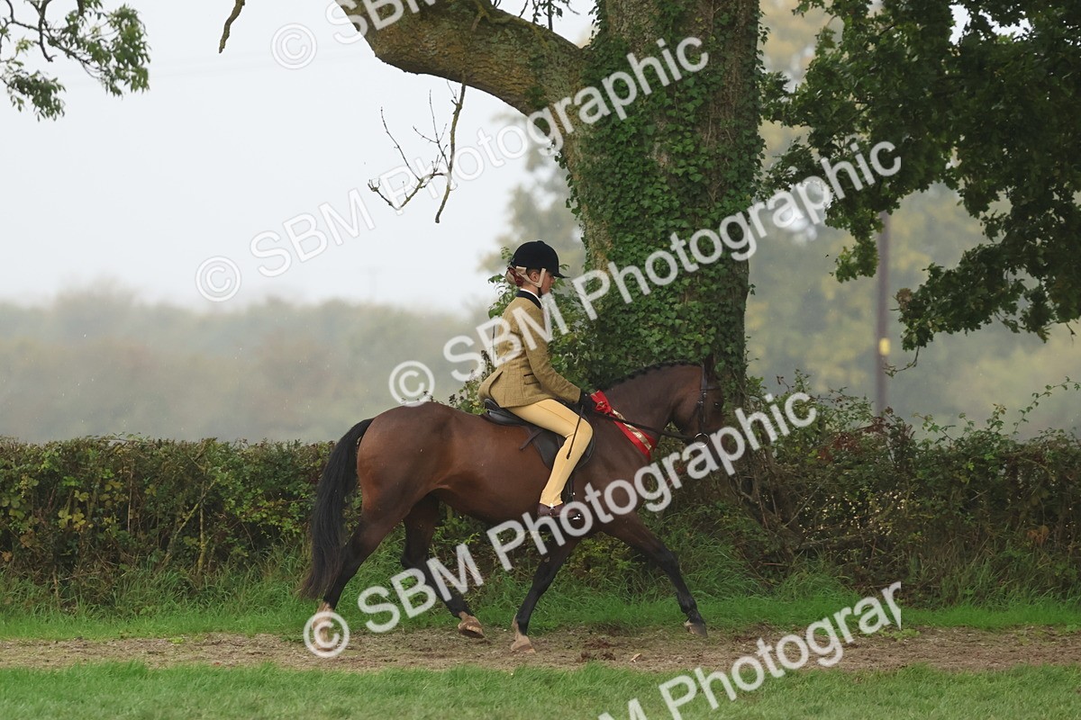 SBM_73198 - Super Supreme Championship(Sun)