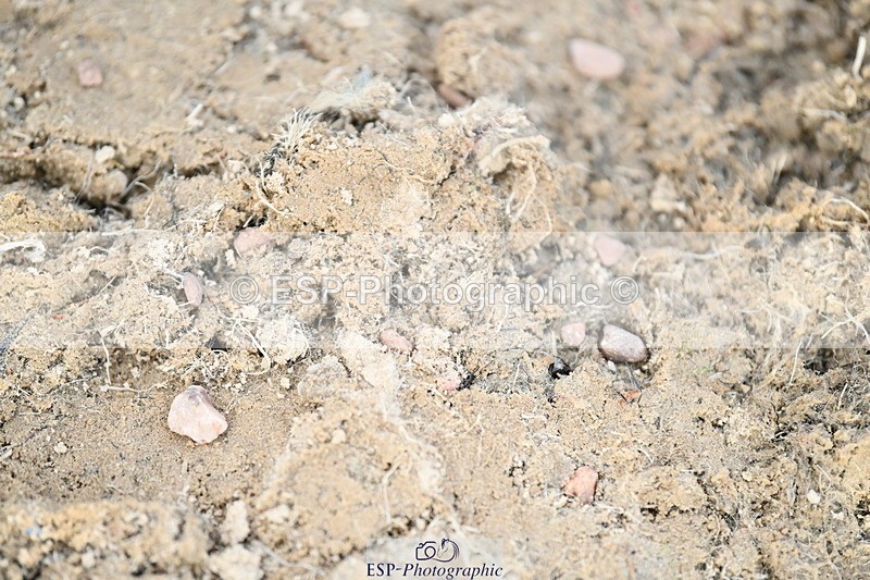 251004A-164431-02194 - Classes 10 & 11 80cm