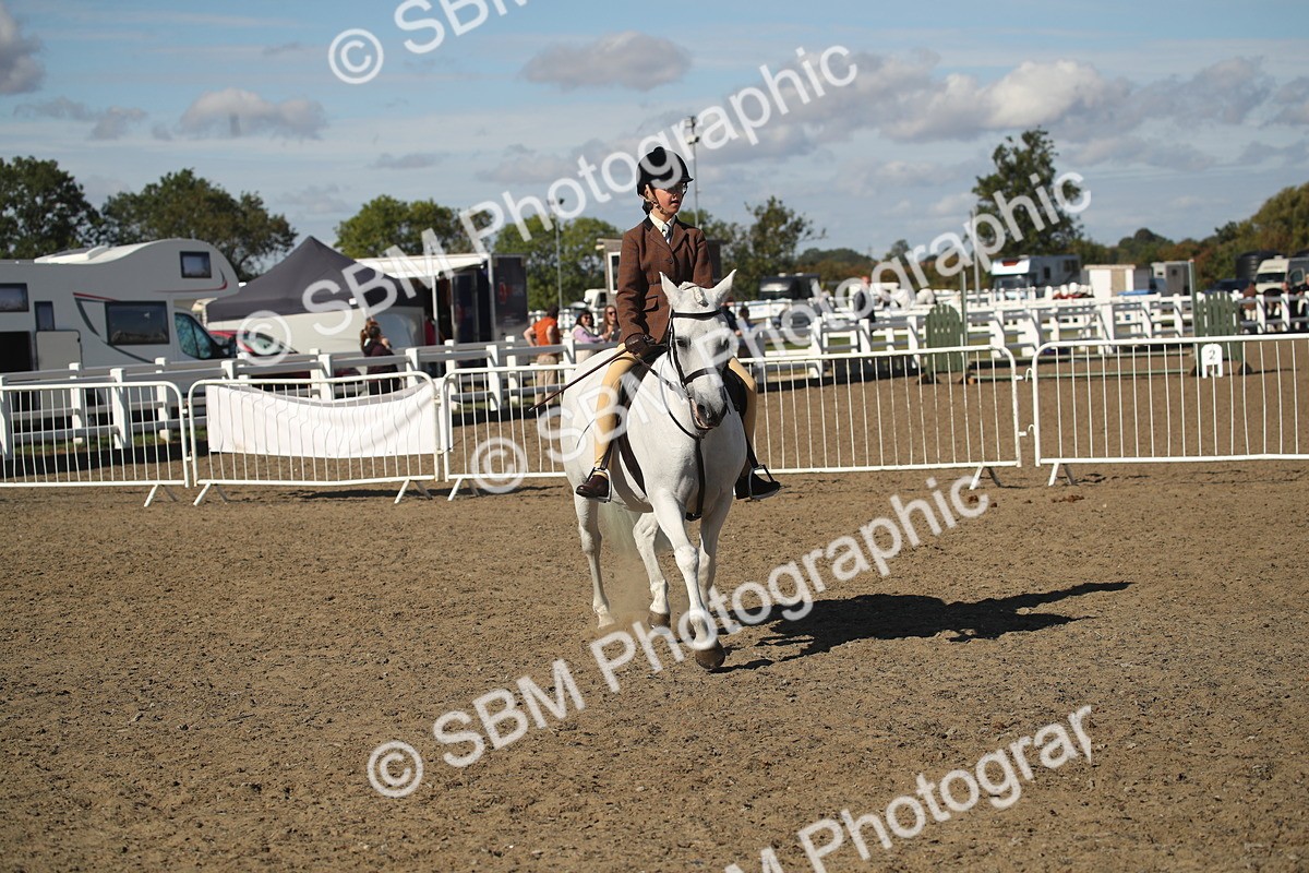 SBM_12757 - Class 504b - Junior Working Veteran - 40cm (20+)