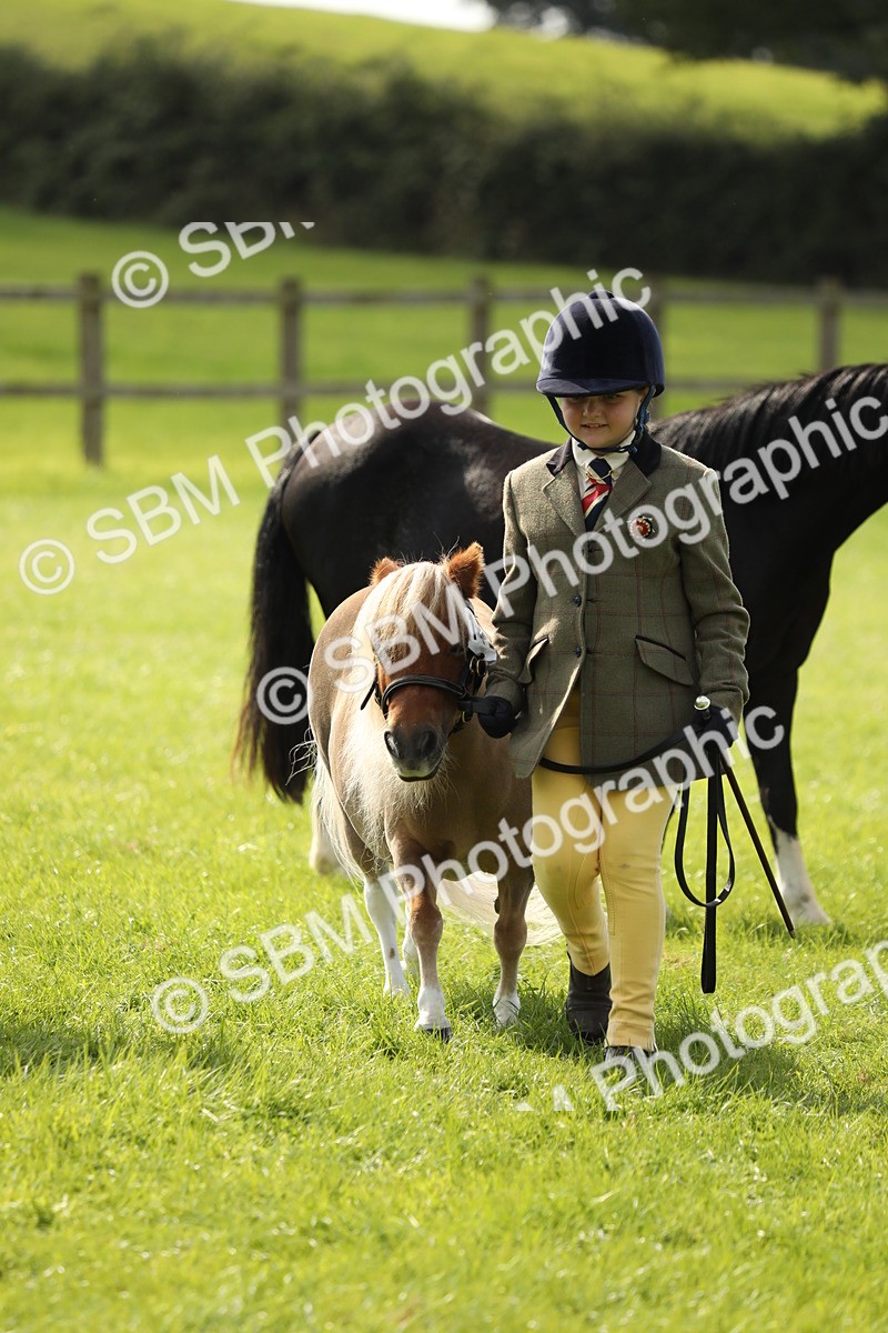 SBM_67835 - S39 - Junior Handler 8  Years & Under