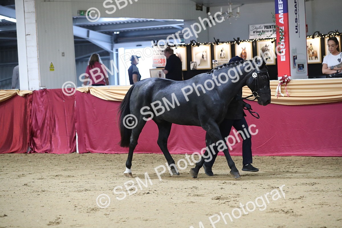 SBM_04360 - Class 7R Regional - IH Diamond