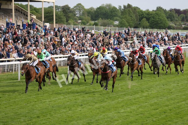 yr13052022r6-24 - Race 6 4.45pm Yorkshire Equine Practice Stakes