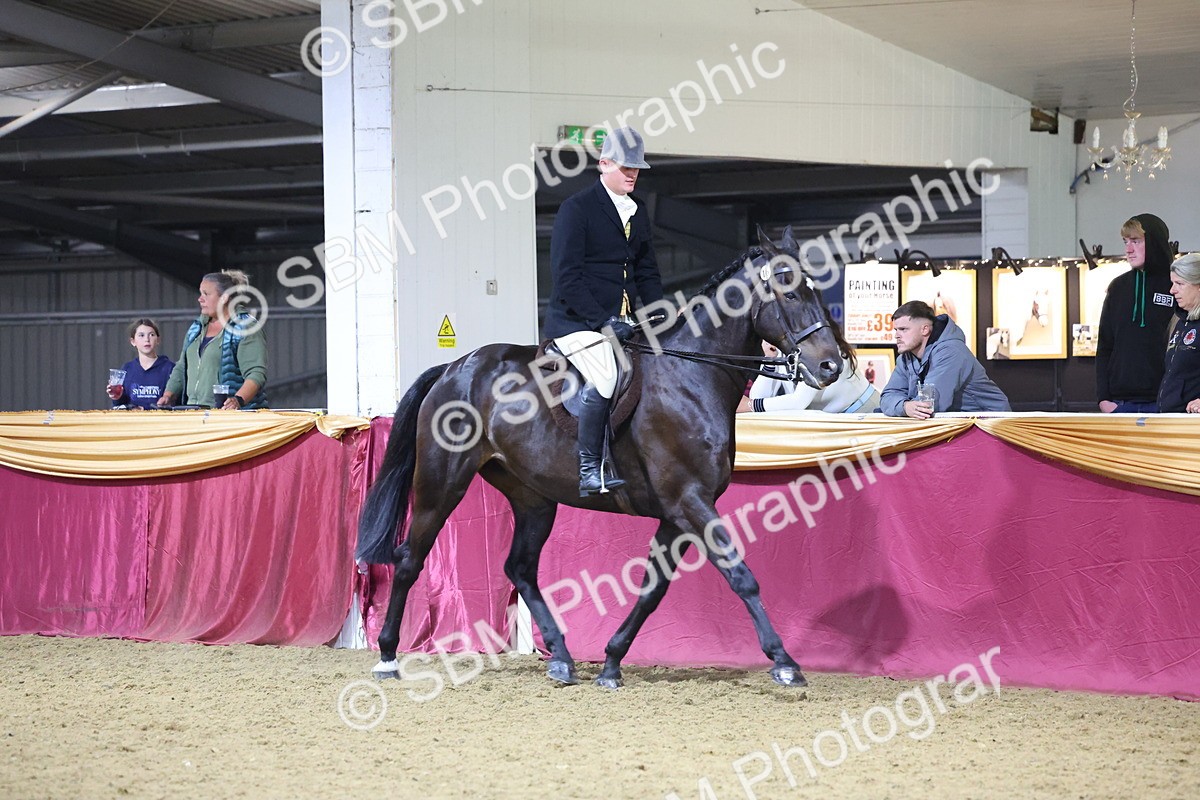 0B8A4464 - Class O Ridden Show Horse Champ