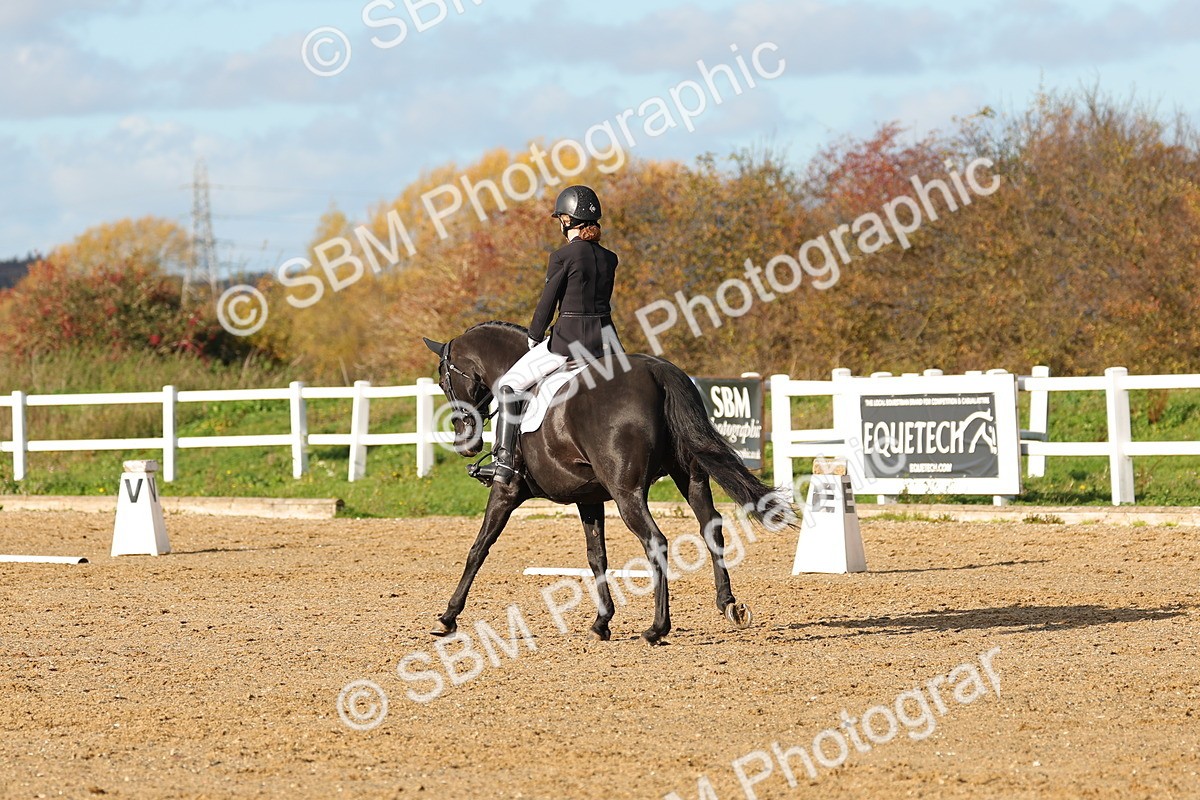 SBM_001367 - Medium 3