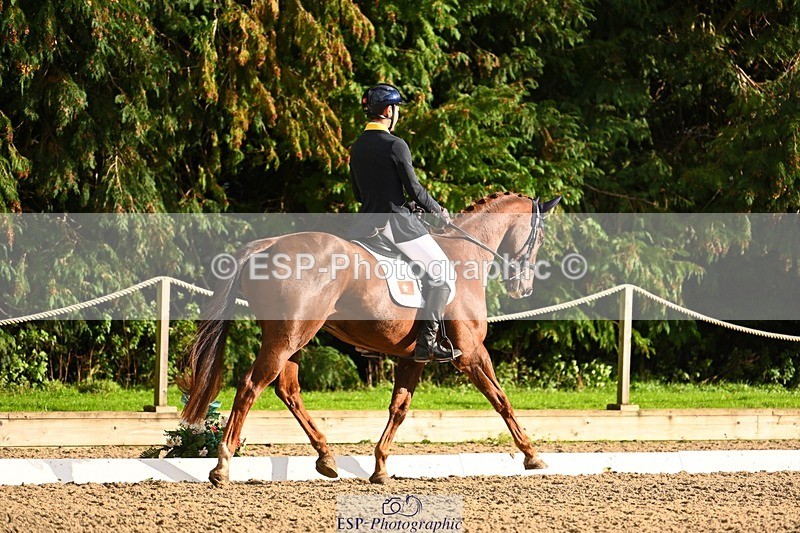 231021-152038-20823 - 257-LOXLEYS.LAST.STAND-Owen.Wong-DR