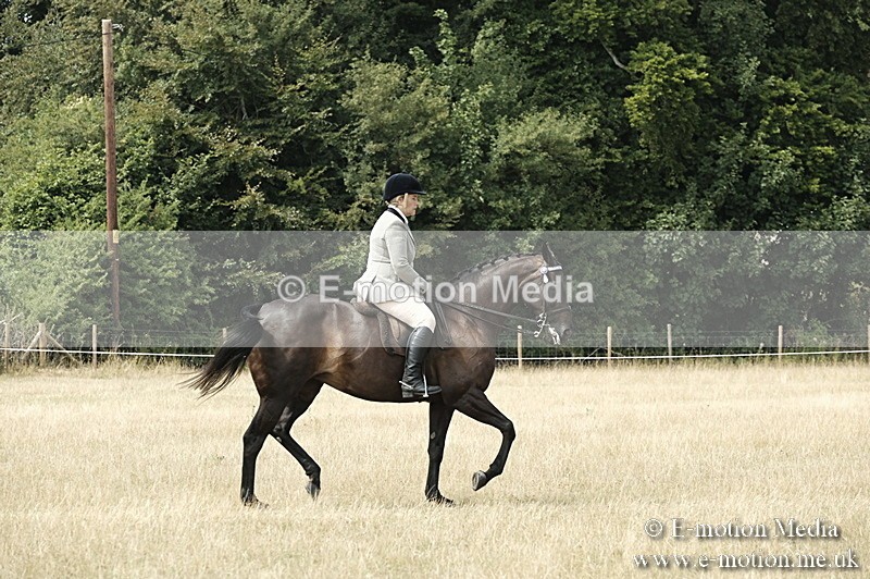 _PJP6059 - BVRC Show 2018 Ring 1