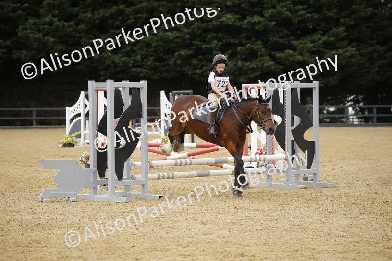 20250622-6000 - 60cm