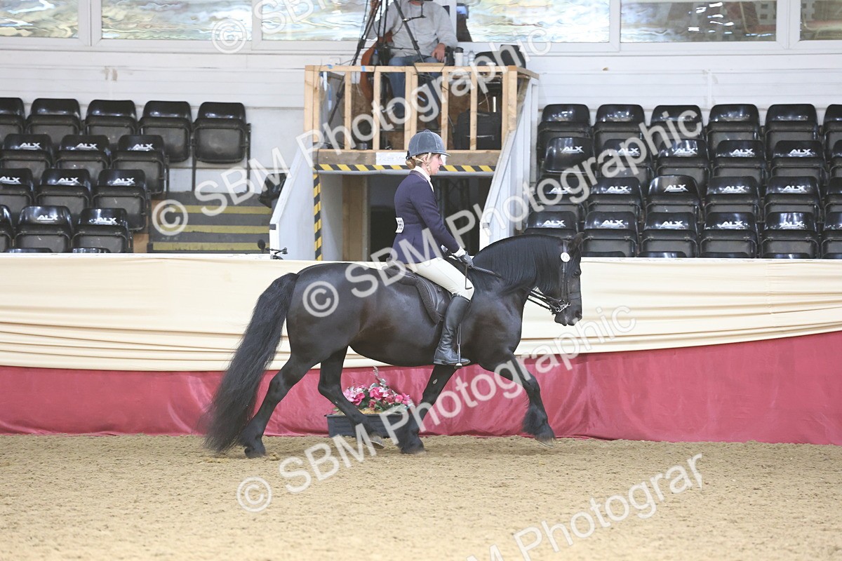 SBM_23828 - class 906 - Supreme Final - Ridden Pre Vet