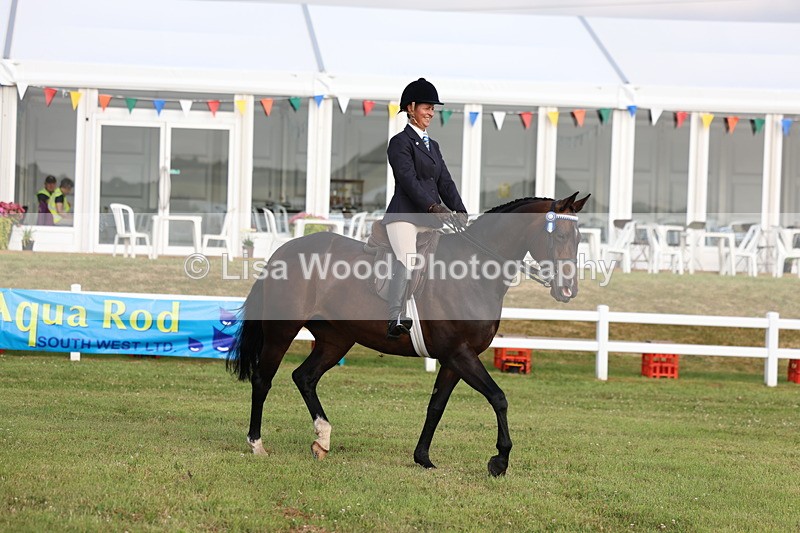 3E7A7776 - Class 1: Rising Star Small Hack/Riding Horses