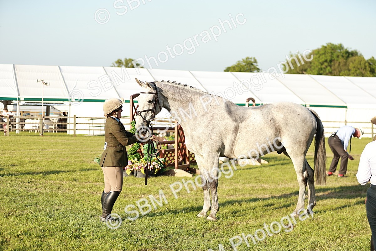 SBM_20547 - Class 117-119 - Sport Horse Working Hunter