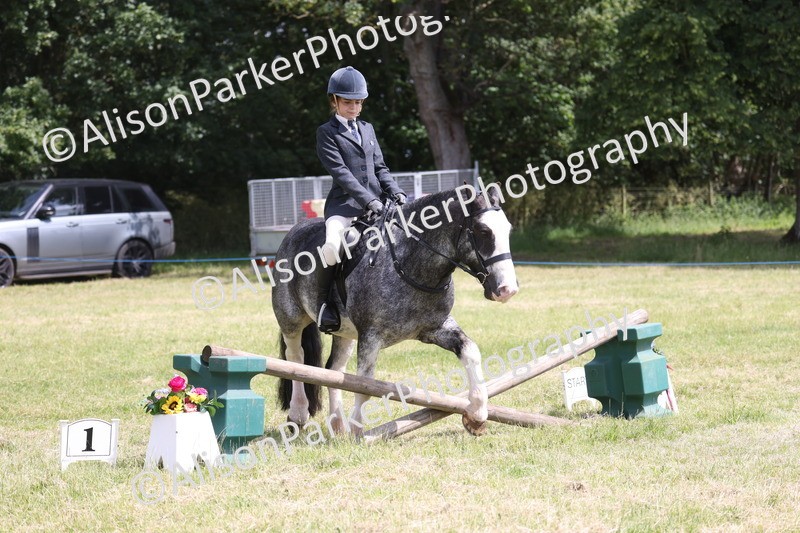 20260614-1960 - Class 21 - Novice Working Hunter Pony