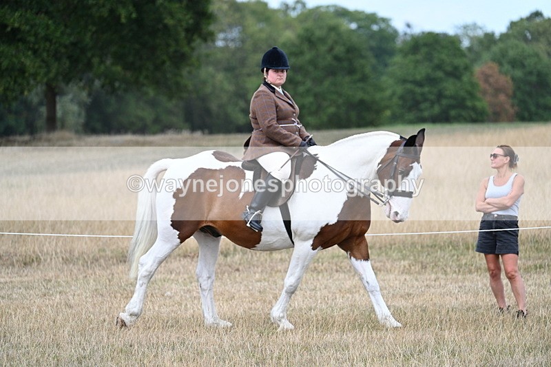 WJ7_5407 - Class 12 Ridden Cob