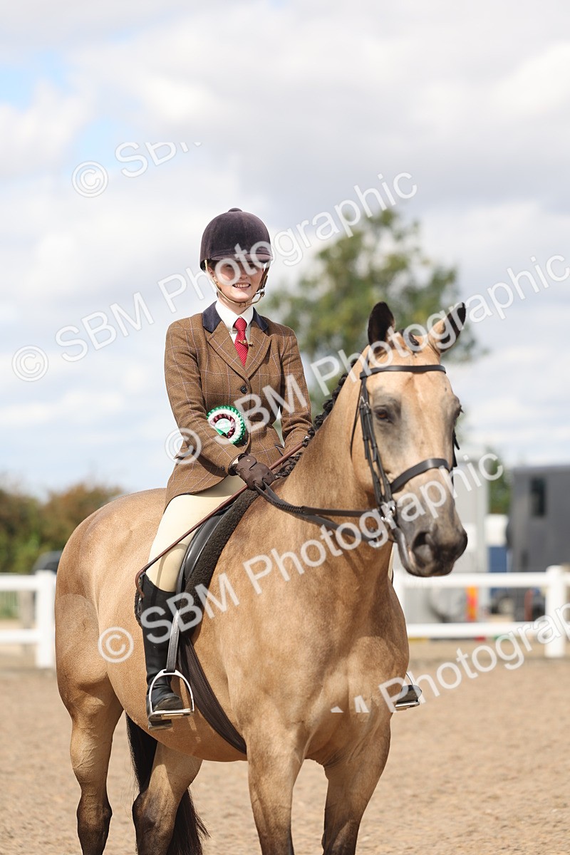 SBM_14857 - Class 308 - Ridden Coloured Horse