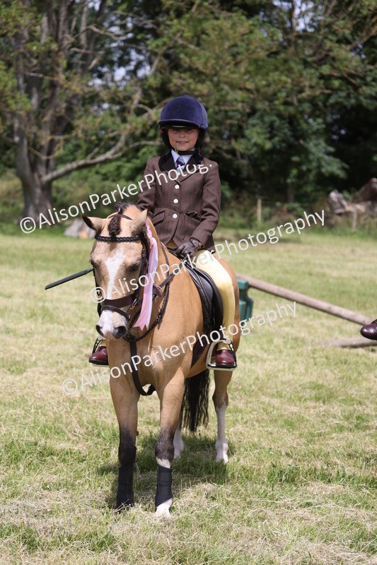 20260614-2155 - Class 21 - Novice Working Hunter Pony