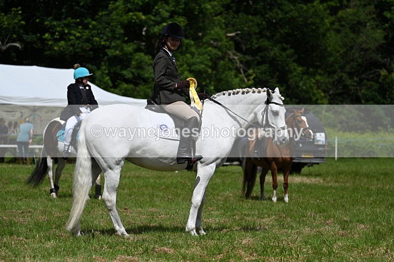 WJ7_1817 - Class 9 Pony Club Pony