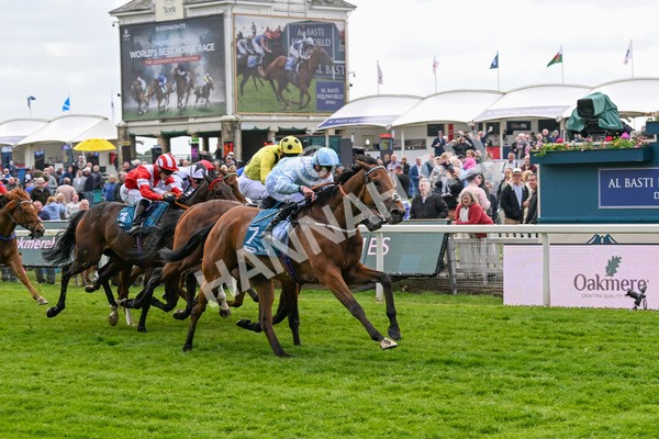 150525-Old Cock-4078 - Race 2 2.42pm Oakmere Homes Hambleton Handicap