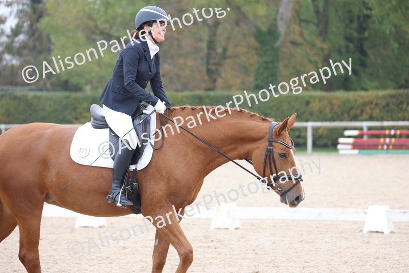 20251012-0672 - Class 5 - Elementary 5